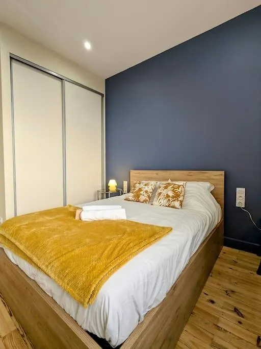 Apartment Parenthese En Centre Ville Roanne France